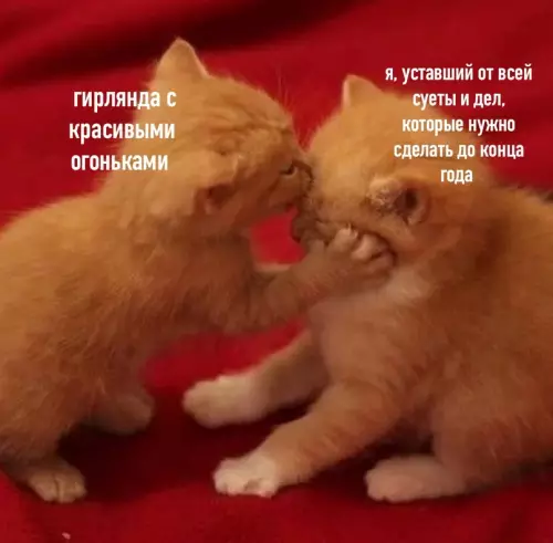 Смешная картинка №618747
