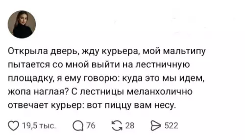 Когда собака решила стать соучастником 🍕🐶 - Открыла дверь, жду курьера, мой мальтипу пытается со мной выйти