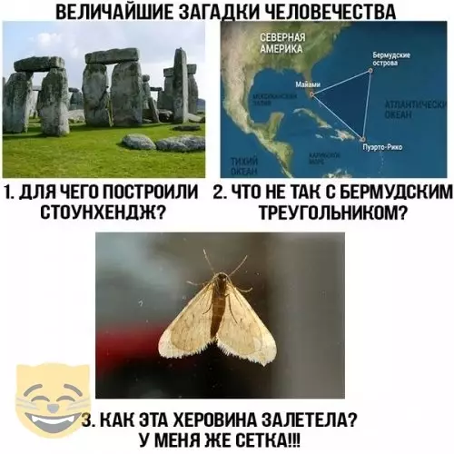 Смешная картинка №405952 #приколы #картинки #мемы ?