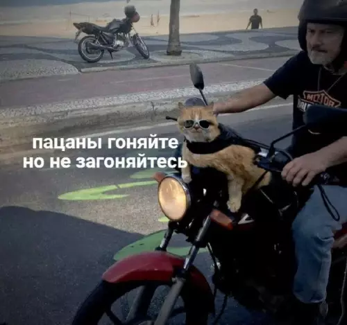 Смешная картинка №715235