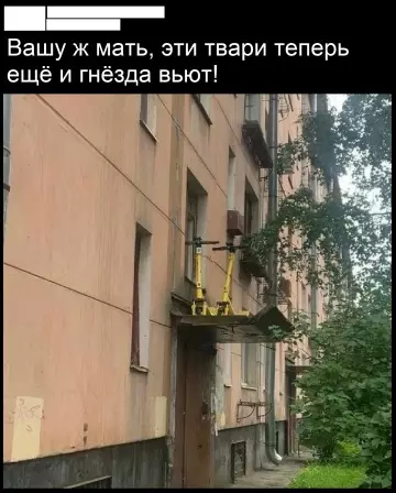 Смешная картинка №779903