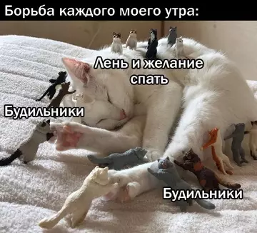 Смешная картинка №789387