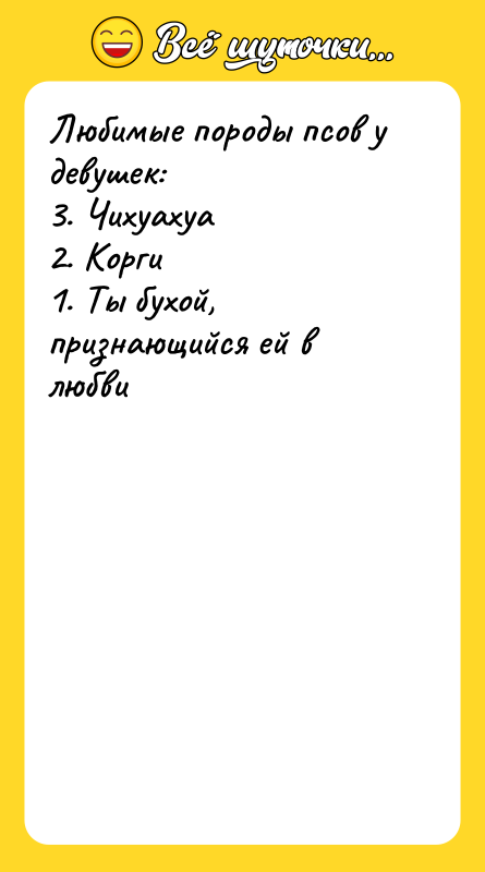 Любимые породы псов у девушек: 3. Чихуахуа 2. Корги 1.