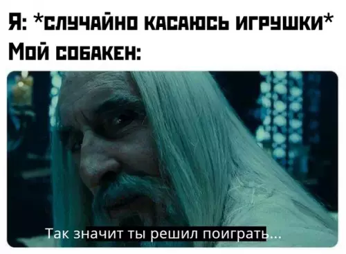 Смешная картинка №437096