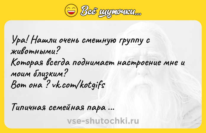 Цитата: Ура! Нашли очень смешную группу с животными? Которая всегда поднимает настроение мне и моим близким? Вот она ? vk.com kotgifs Типичная семейная пара ночью