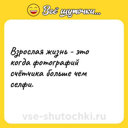 Шутка: Взрослая жизнь - это когда фотографий счётчика больше чем селфи.