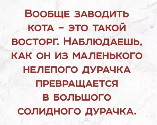 Смешная картинка №272668