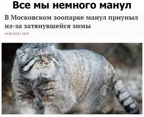 Смешная картинка №257425