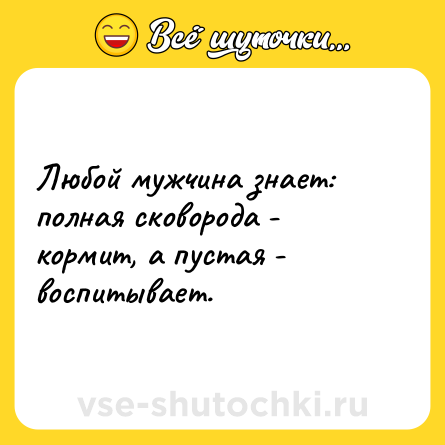 Шутка: Любой мужчина знает: полная сковорода - кормит, а пустая - воспитывает.
