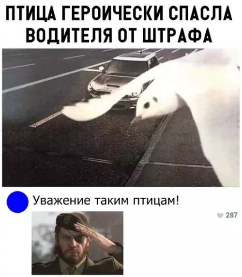 Смешная картинка №330419