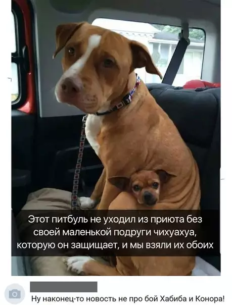 Смешная картинка №307814