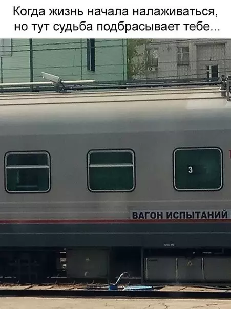 Смешная картинка №273896