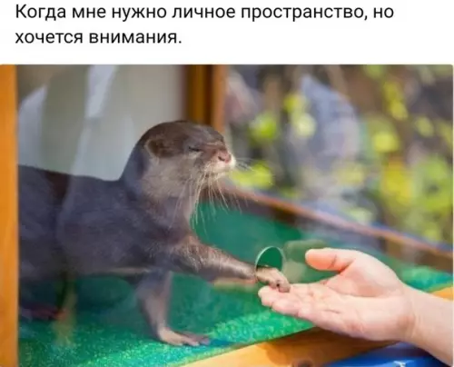Смешная картинка №238747
