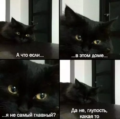 Смешная картинка №309327