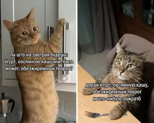 Смешная картинка №808788 в