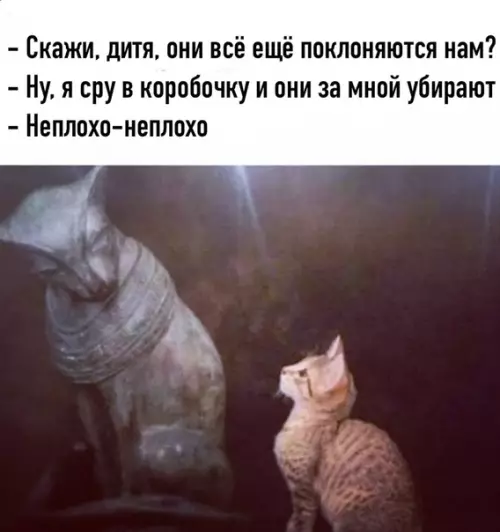 Смешная картинка №521855