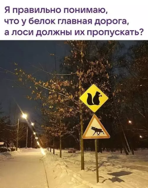 Смешная картинка №677543