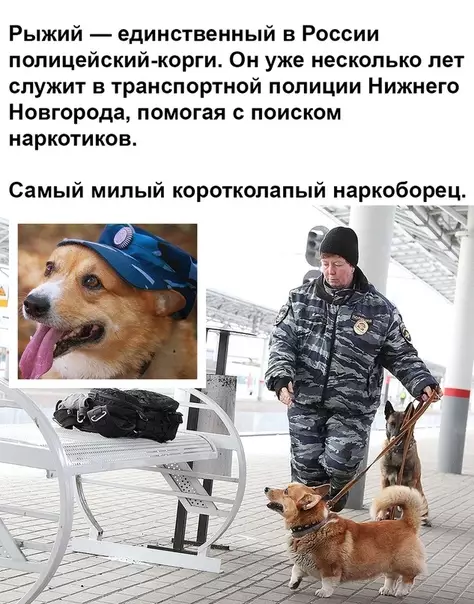 Смешная картинка №458246 действительно хороший мальчик