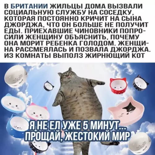 Смешная картинка №598273