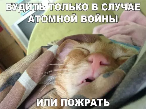 Смешная картинка №295210
