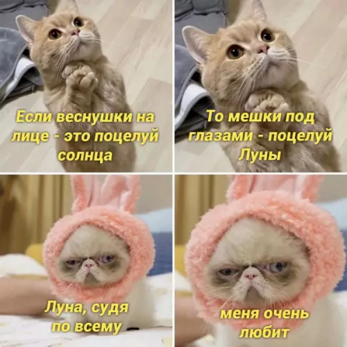 Смешная картинка №659837