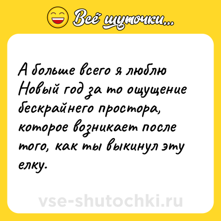 Шутка: А больше всего я люблю Новый год за то ощущение бескрайнего простора, которое возникает после того, как ты выкинул эту елку.