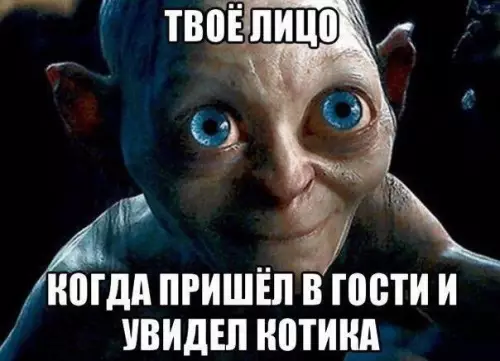 Смешная картинка №213347