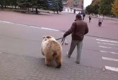 Смешная картинка №517001 Обычное утро в России по мнению американцев ?