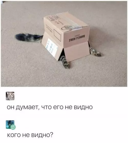 Смешная картинка №275716
