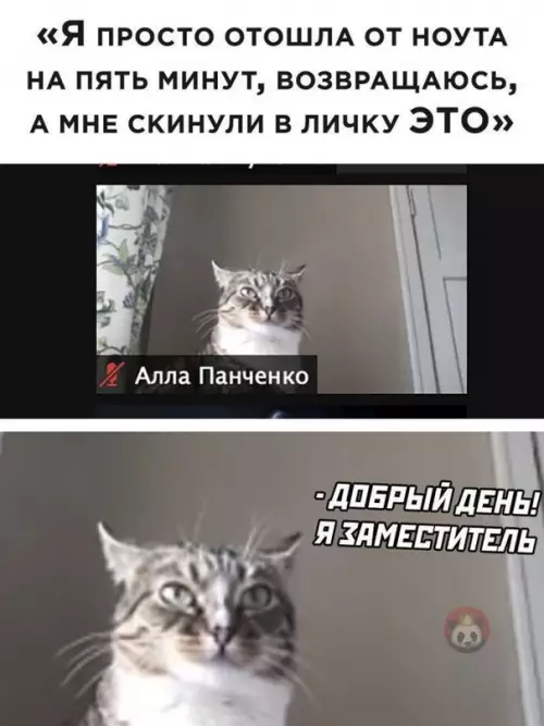 Смешная картинка №618226 Прелести дистанционки ?
