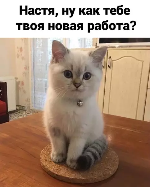 Смешная картинка №580761 Работа