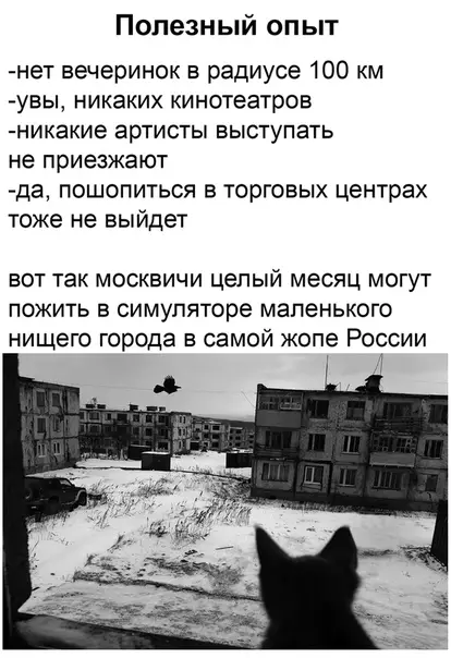 Смешная картинка №485415 Жизненный симулятор