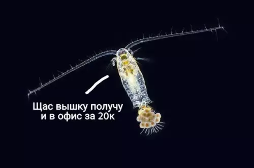 Смешная картинка №240815