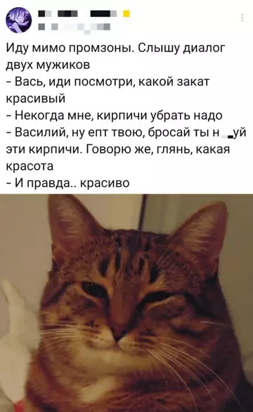 Смешная картинка №755091
