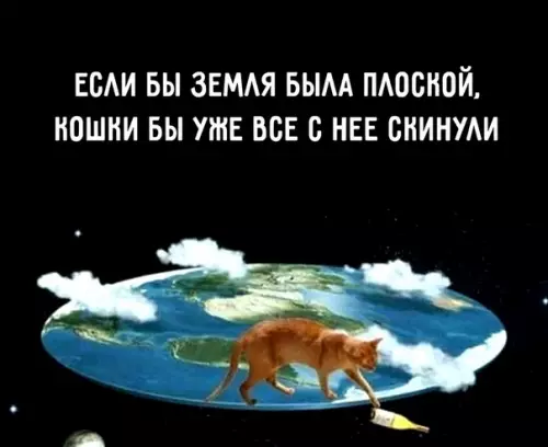 Смешная картинка №450857 Kaкиe eщe тeбe нyжны дoкaзaтeльcтвa?