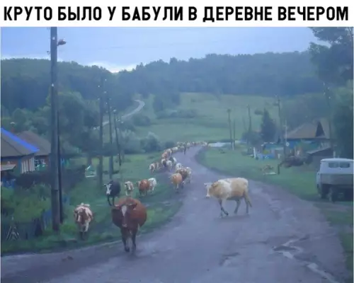 Смешная картинка №299705