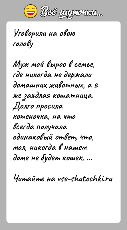 История: Уговорили на свою головуМуж мой вырос в семье, где никогда не держали домашних животных, а я же заядлая кошатница. Долго