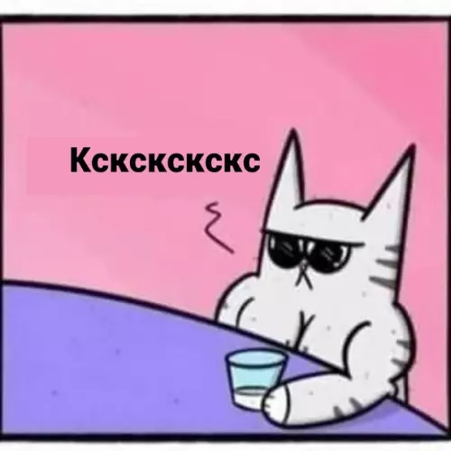 продолжение Смешная картинка №584226 Koшки везде кошки