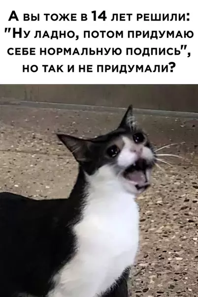 Смешная картинка №504134