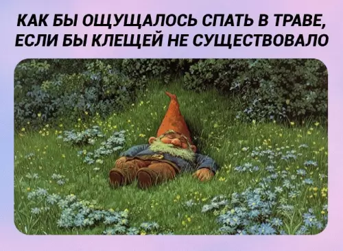 Смешная картинка №813818