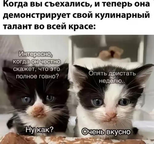 Кулинария от бывшей — это больно 😂💔 - Когда вы съехались, и теперь она демонстрирует свой кулинарный талант