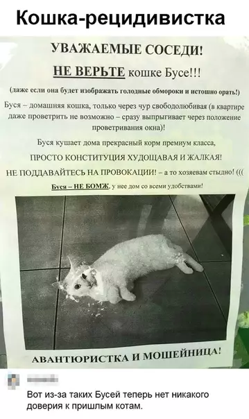 Смешная картинка №474783 Наглость - второе счастье