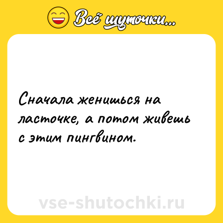 Шутка: Сначала женишься на ласточке, а потом живешь с этим пингвином.