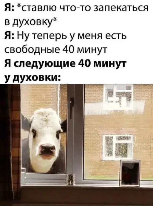 Смешная картинка №681960