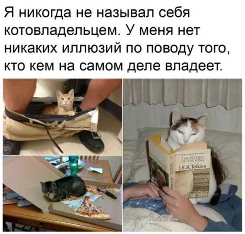 Смешная картинка №480888 Беспардонные пушистые засранцы
