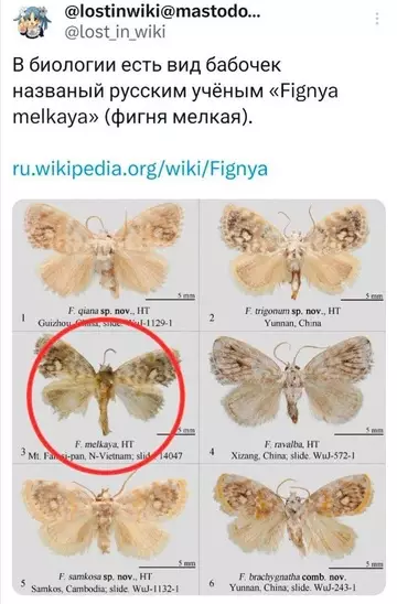 Смешная картинка №735191