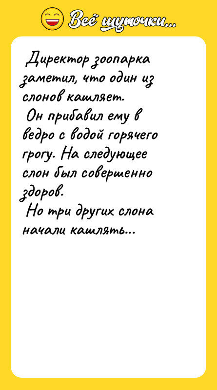  Директор зоопарка заметил, что один из слонов кашляет. 