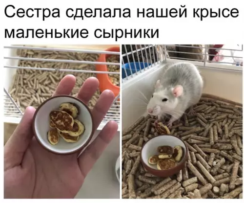 Смешная картинка №489075 Самое милое за сегодня