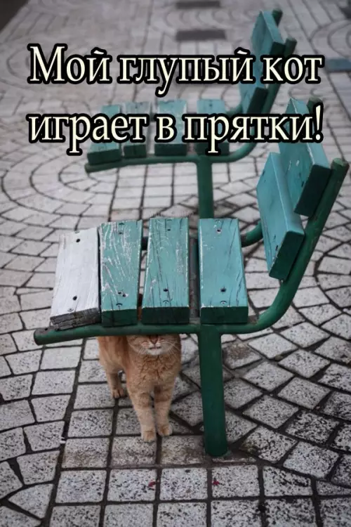 Смешная картинка №596095