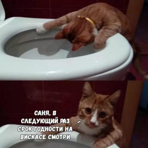 Смешная картинка №267895